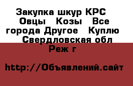 Закупка шкур КРС , Овцы , Козы - Все города Другое » Куплю   . Свердловская обл.,Реж г.